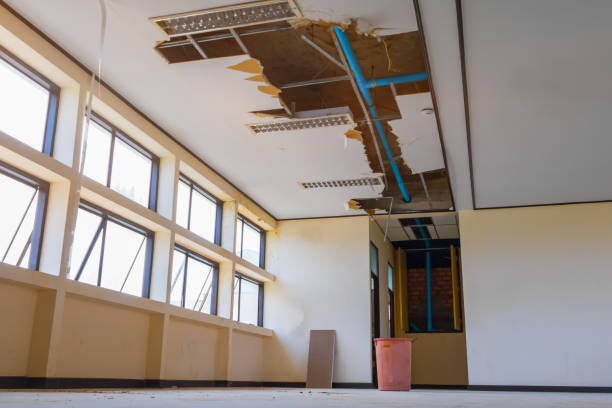 Best Water damage restoration insurance claims  in Glen Rock, NJ