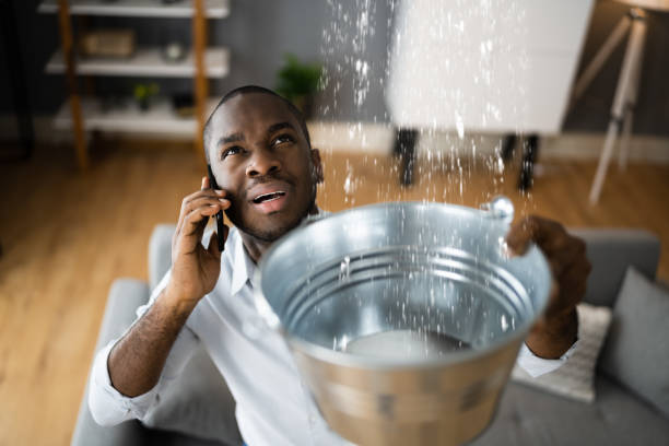 Best Flooded house restoration  in Glen Rock, NJ