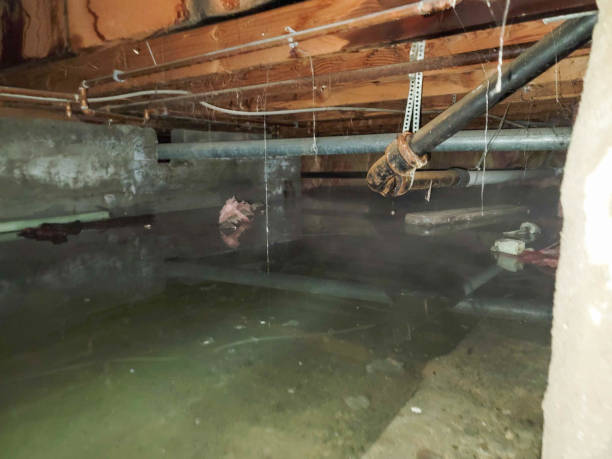 Glen Rock, NJ Water damage restoration Company