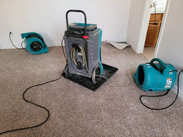 Best Mold removal after water damage  in Glen Rock, NJ