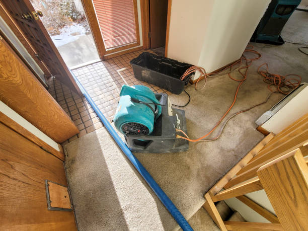 Best Water damage repair service  in Glen Rock, NJ