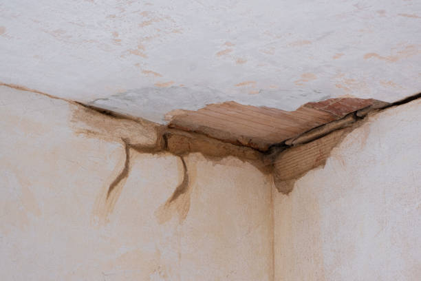 Best Water damage restoration near me  in Glen Rock, NJ