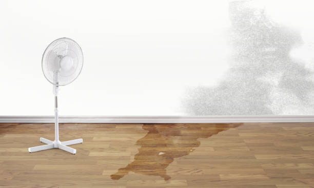 Best Flood restoration services  in Glen Rock, NJ