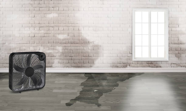 Water damage restoration insurance claims in Glen Rock, NJ
