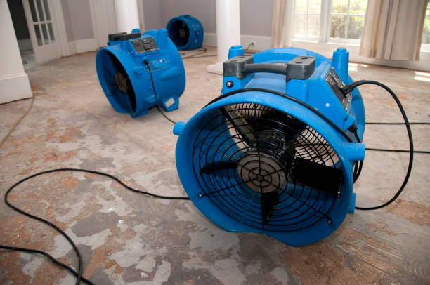 Best 24/7 water damage repair  in Glen Rock, NJ