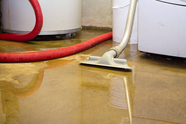 Best Professional water damage repair  in Glen Rock, NJ