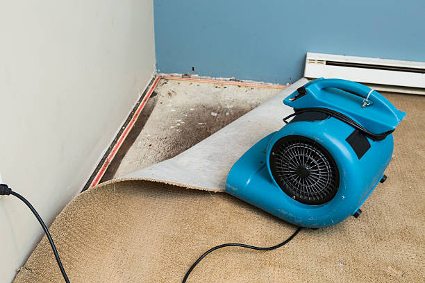 Best Flood damage cleanup  in Glen Rock, NJ